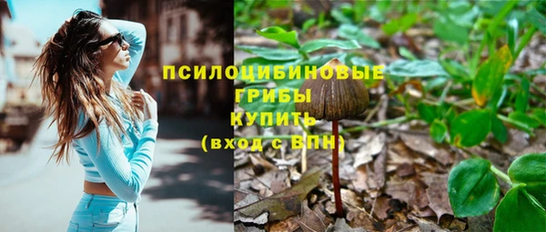 марки nbome Пересвет